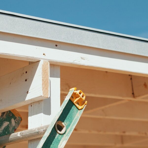 A green ladder leaning against a wooden structure with a partially visible roof under a clear blue sky.
